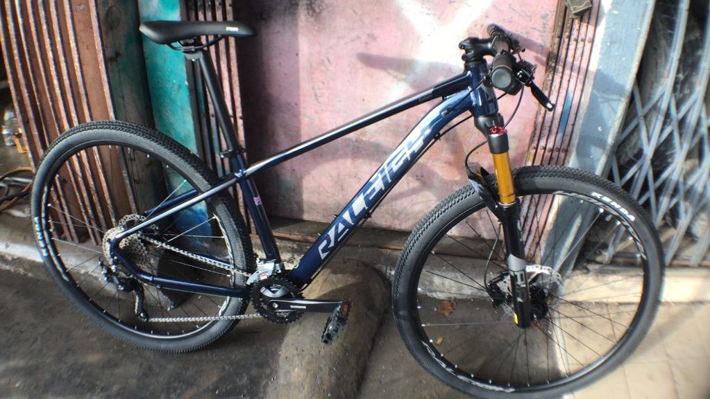 Raleigh 29