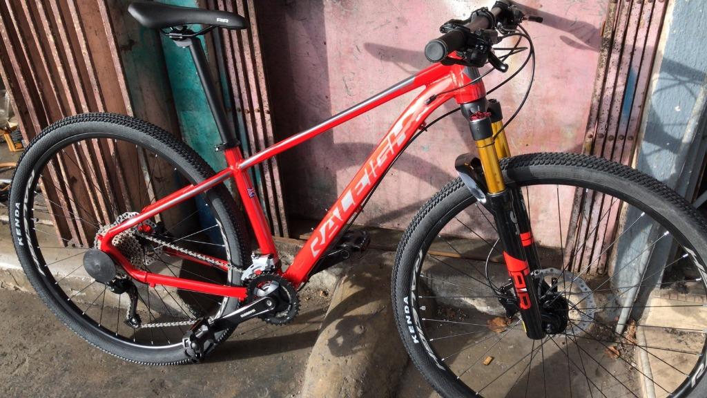 Raleigh discount enduro 29