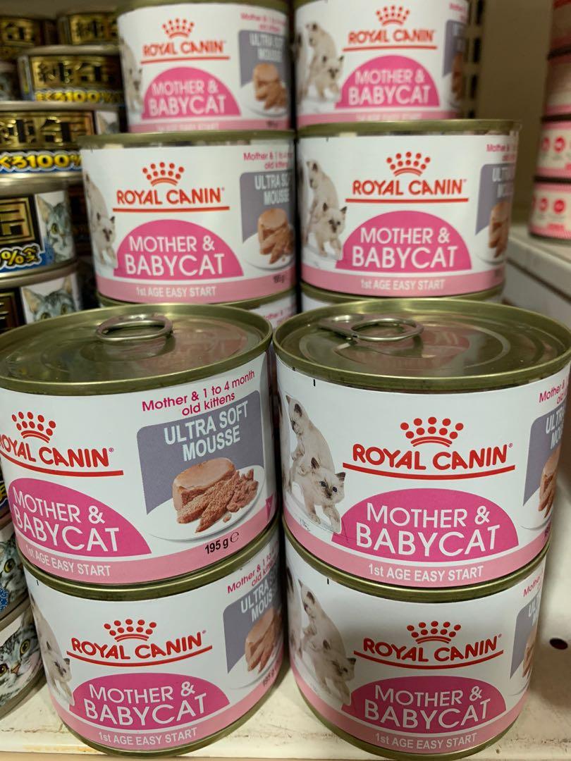 Selling Cheap Minimum Purchase 2x Cans Royal Canin Mother Baby Cat Price Listed Is For One 195grams Can Only Pet Supplies For Cats Cat Food On Carousell