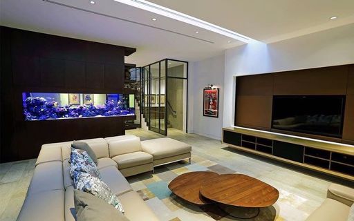 (Category: ) located in . Submitted by aquariumphilippines (Listing ID 282615026, Image 1). Description: .