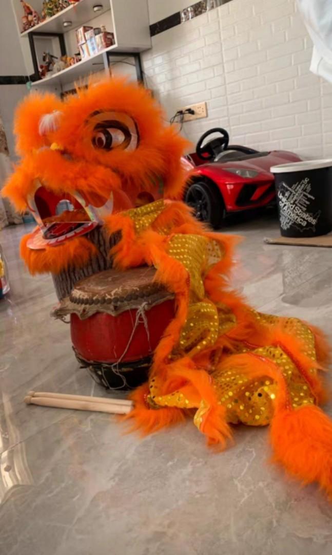 Kids lion dance costume Chinese lion head, Hobbies & Toys ...