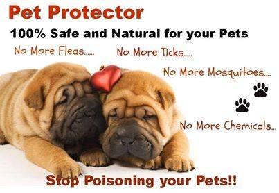 Pet protector top disc