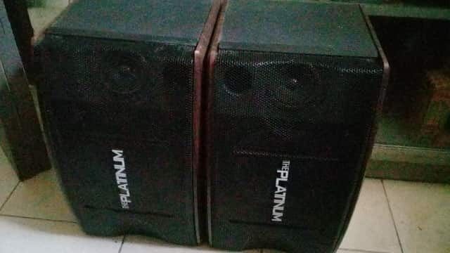 Platinum speaker and amplifier hotsell