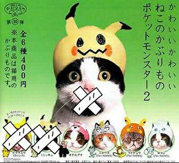 Pokemon Rare Cat Cap Official by Kitan Club Japan