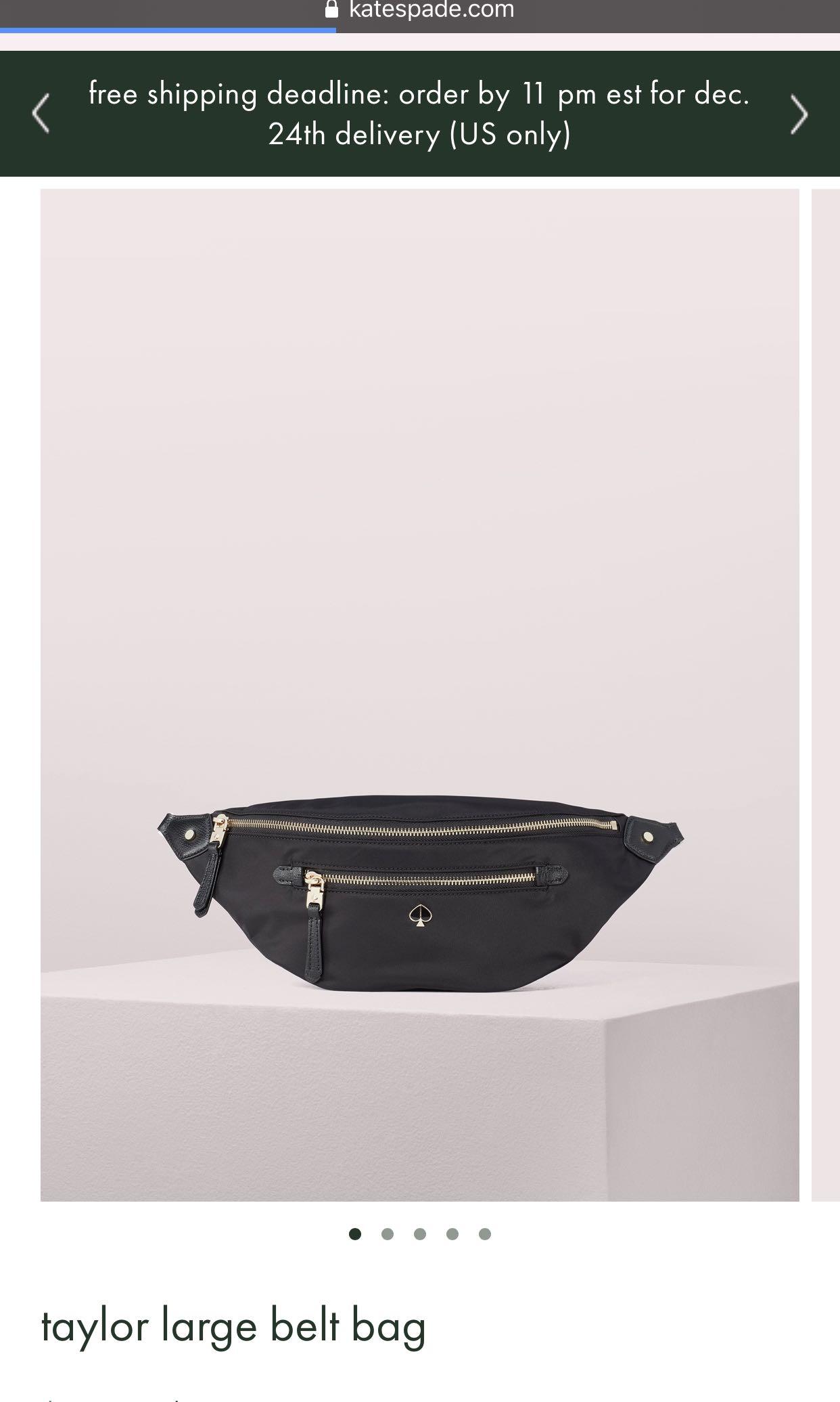 taylor large belt bag