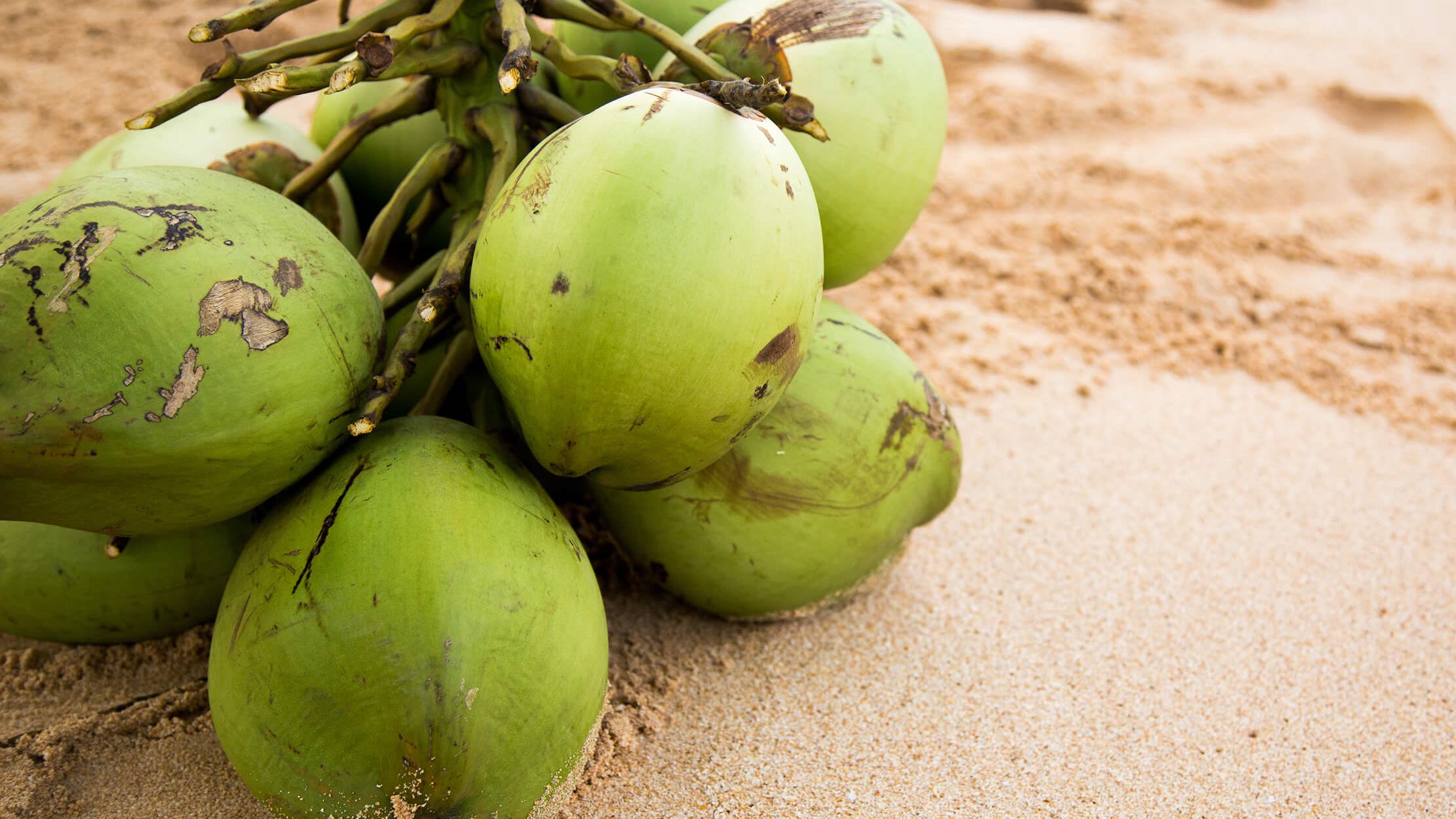 Fresh Coconut water delivery , Food & Drinks, Packaged & Instant Food