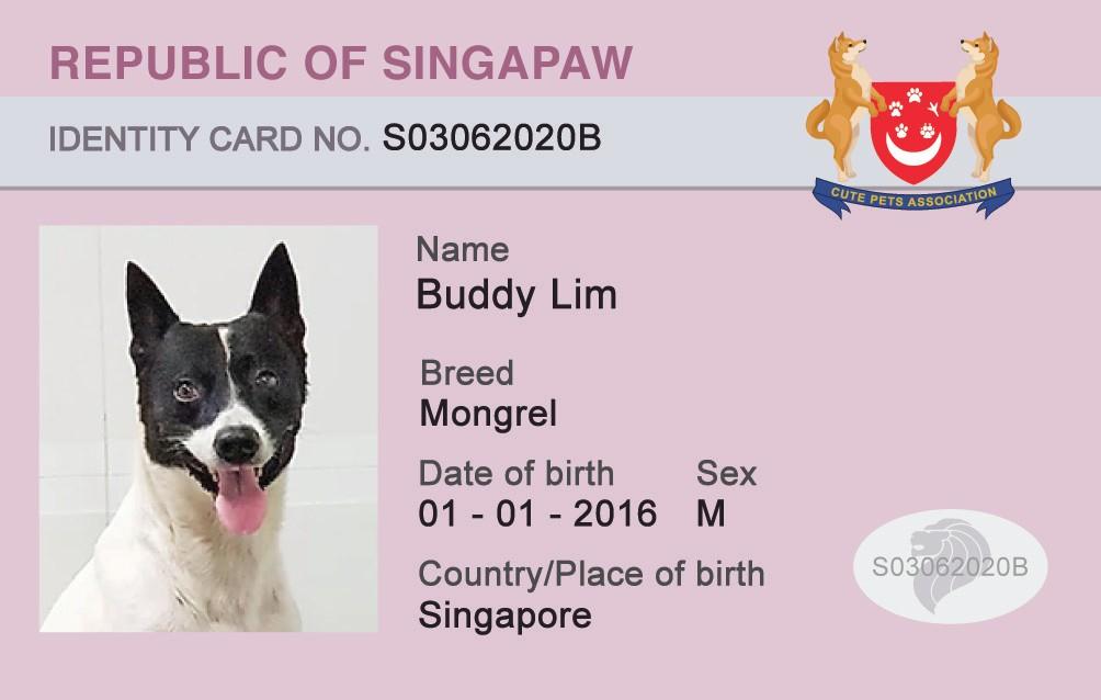 all pet supplies republic rd