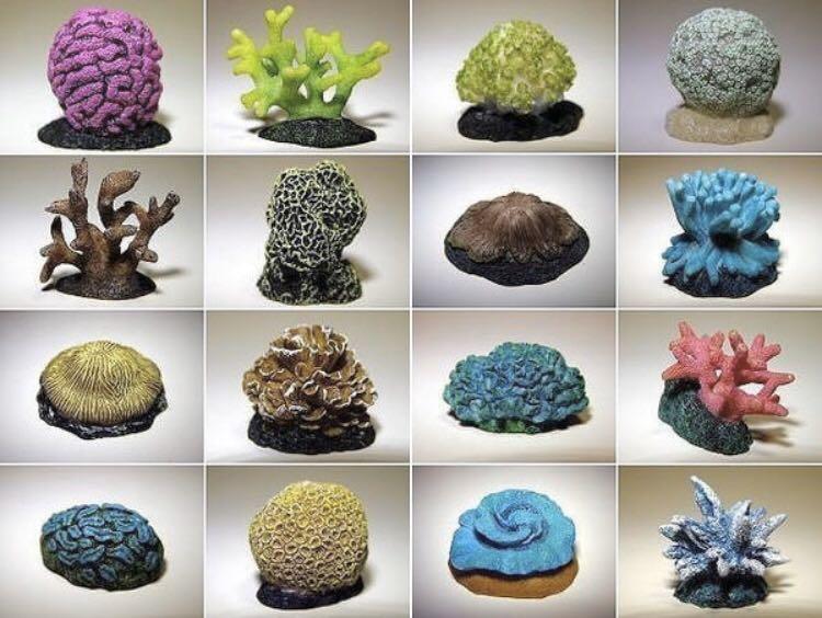 原色珊瑚図鑑　全16種　フルコンプ 原色珊瑚図鑑 全16種 フルコンプ 原色珊瑚図鑑｜商品情報｜タカラ