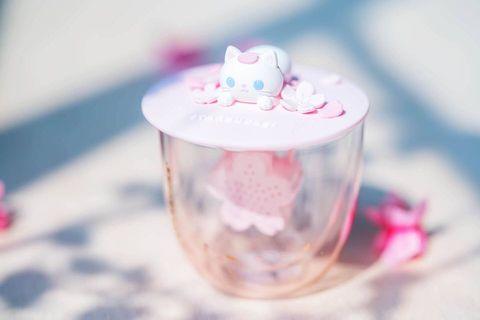 🔥Starbucks Sakura cat  🔥