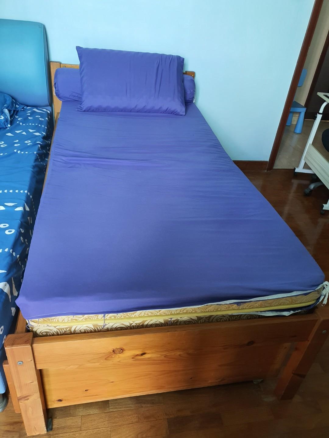 Seahorse Single Bed Frame with pullout bed, Furniture & Home Living