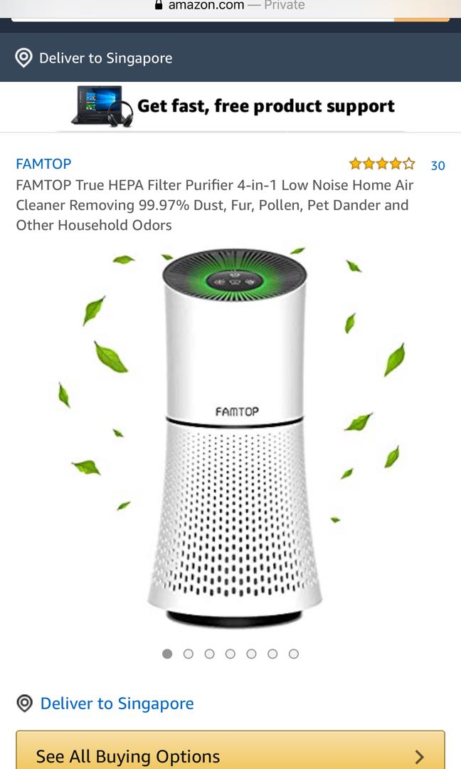Famtop air outlet purifier