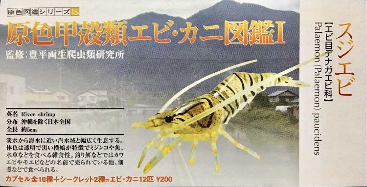Amazon | 原色甲殻類 エビ カニ 図鑑 フィギュア シャコ 足なし