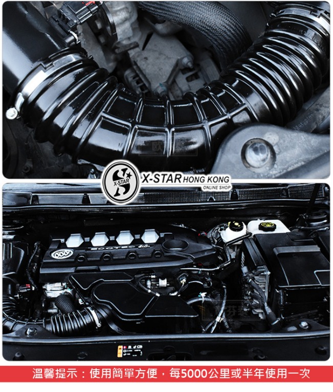 1634165 引擎線路保護劑 Engine protector