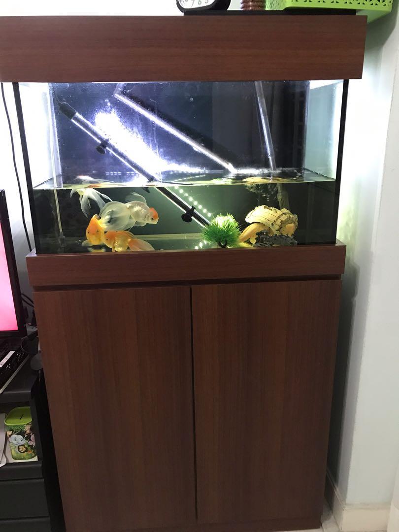 Fish Tank with Stand (cupboard ) and filter, Pet Supplies, Homes