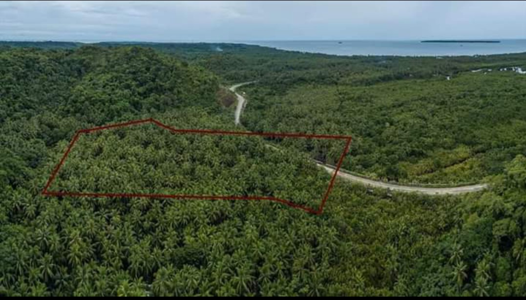 100+ affordable "siargao for sale" For Sale Carousell Philippines