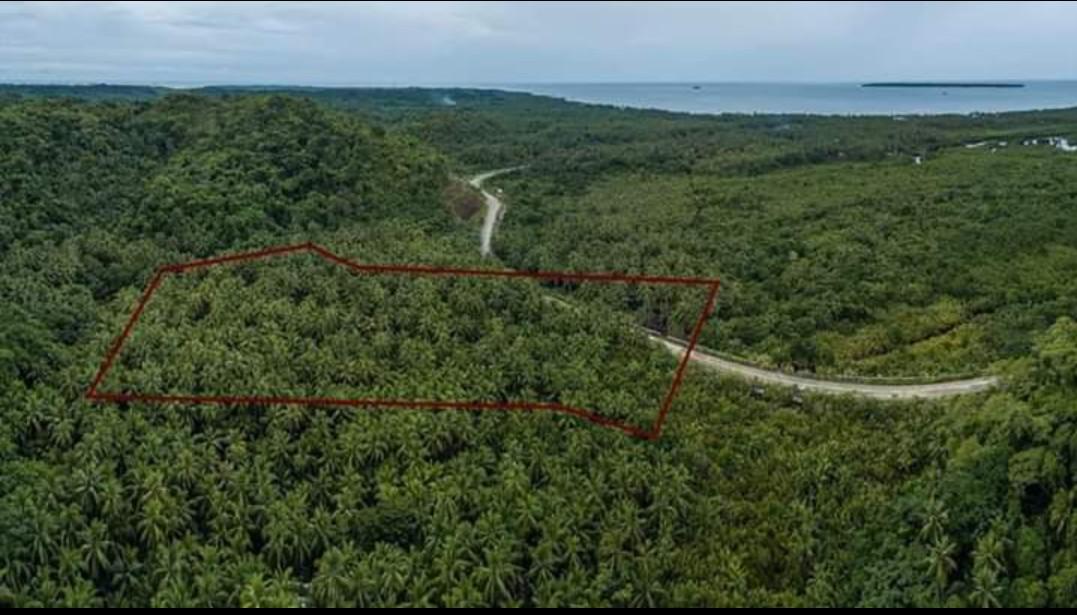Siargao Island Lot for Sale, Property, For Sale, Lot on Carousell