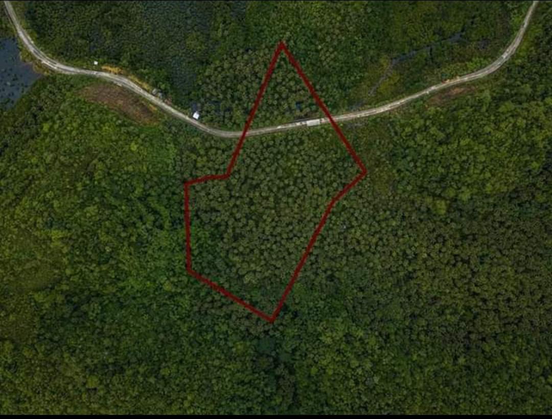 Siargao Island Lot for Sale, Property, For Sale, Lot on Carousell