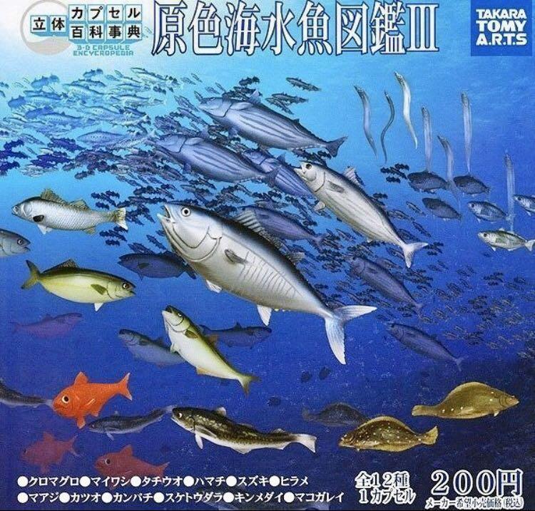 原色海水魚図鑑Ⅱ 全17種 シークレット込み クログチ ゴンズイ クエ 