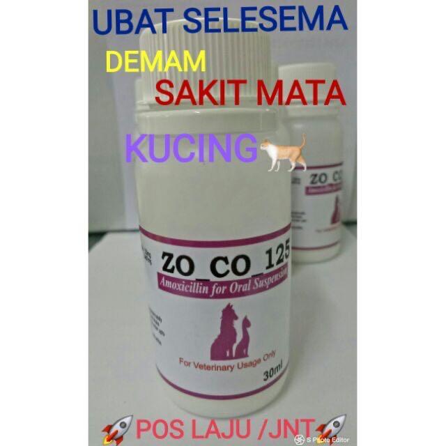 Ubat Demam Selesema Sakit Mata Kucing Pet Supplies Pet Food On Carousell