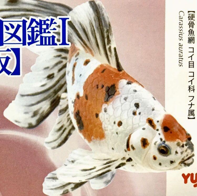 Yujin 原色観賞魚図鑑Ⅰ［改訂増補版］原色觀賞魚圖鑑改訂增補版