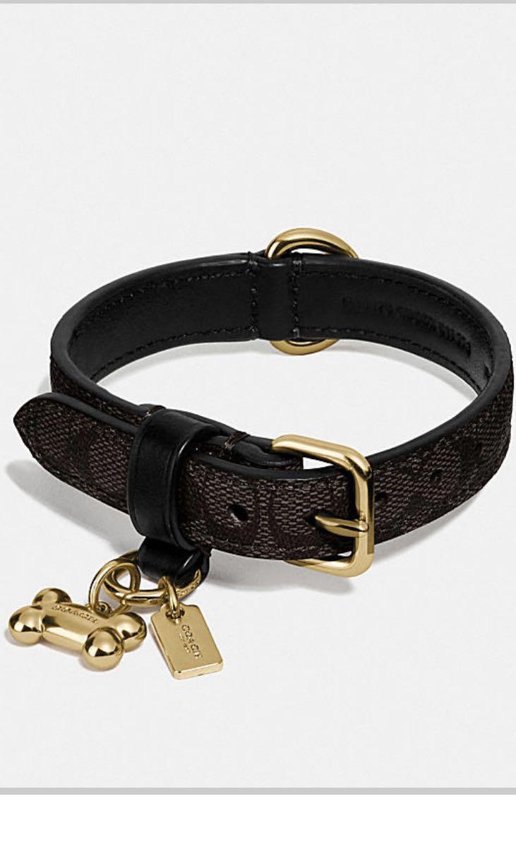 Coach large pet collar in signature crossgrain leather Clearance