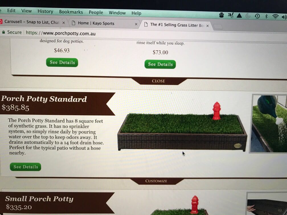 Porch potty for sale online