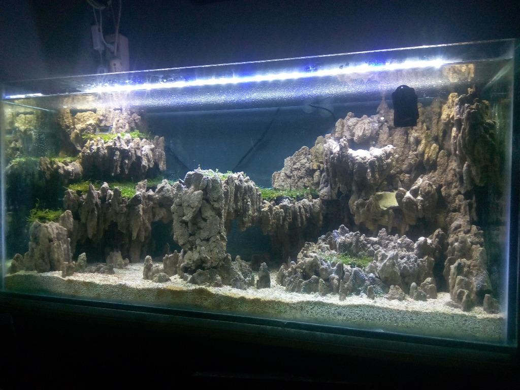 Aquarium Aquascape Cliffs And Waterfalls Perlengkapan Hewan Aksesoris Hewan Di Carousell