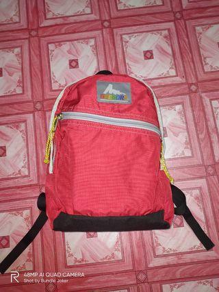 Gregory Backpack
