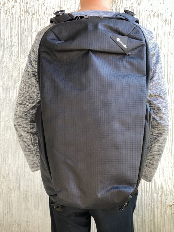 Pacsafe Technical Backpack Black Men S Fashion Bags Wallets Backpacks On Carousell