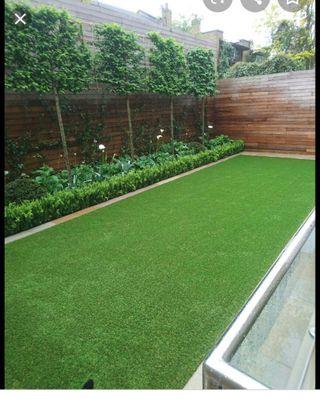 Supplier and Importer Turf Grass