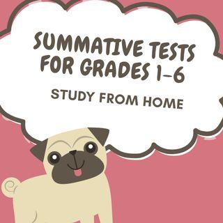 SUMMATIVE TESTS PACKAGE