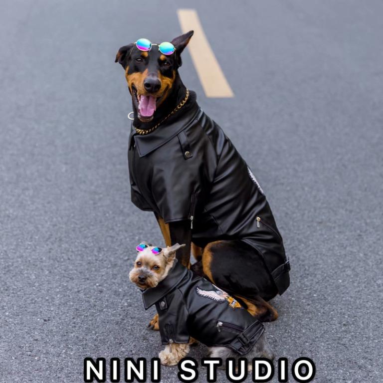 Dog harley davidson jacket sale