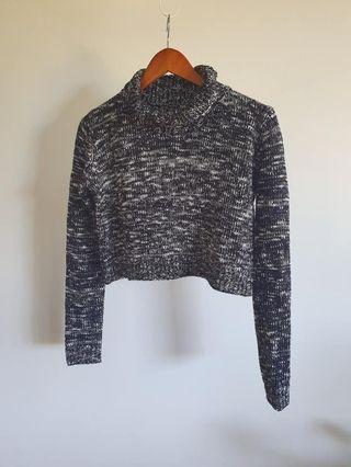 Crop Turtle Neck Jumper