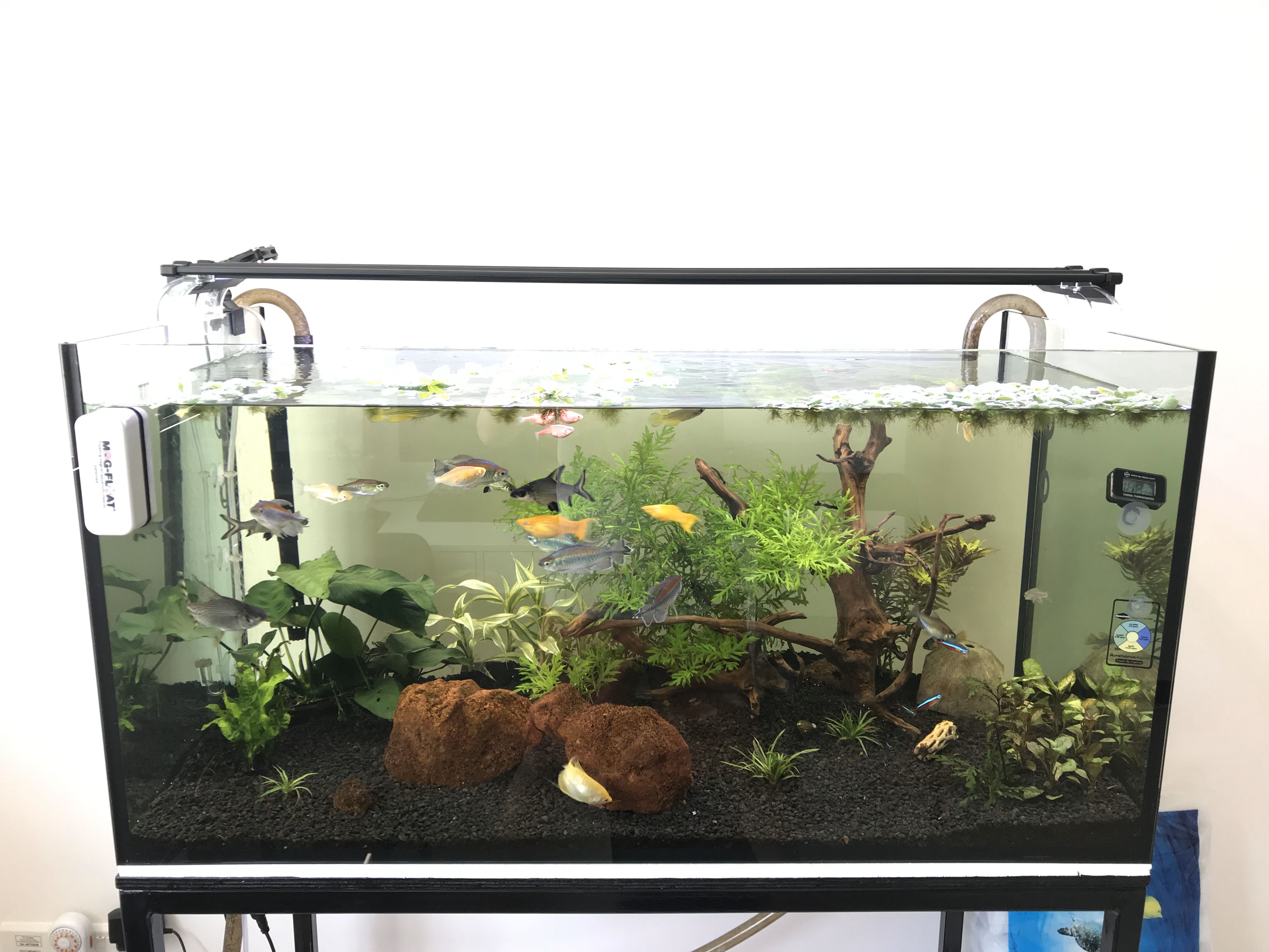 3 feet on sale aquarium