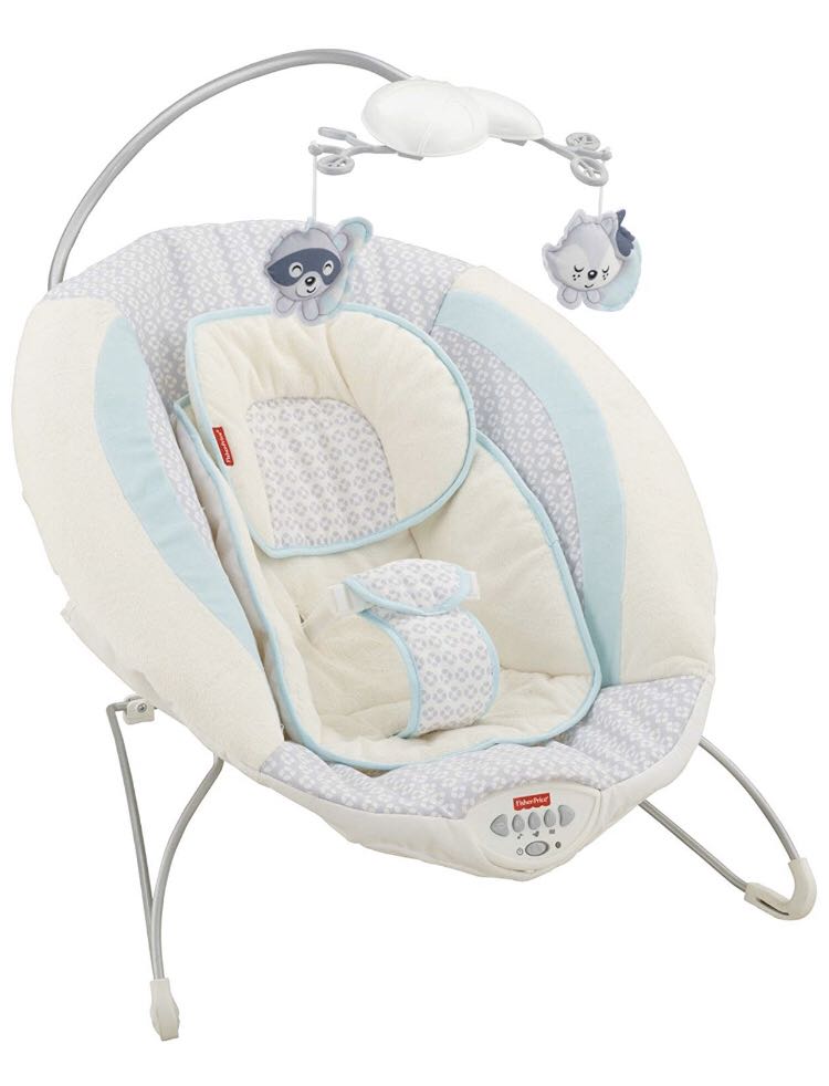 woodsy wonders deluxe bouncer