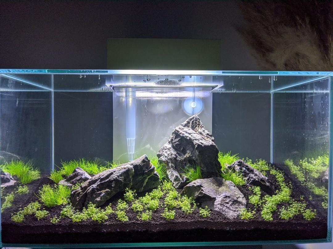 Fluval edge aquarium on sale