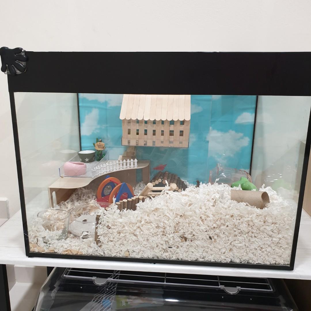 Hamster tank cage Pet Supplies Homes Other Pet Accessories on