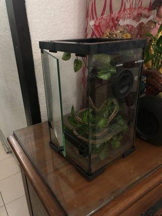 reptile enclosures for sale near me