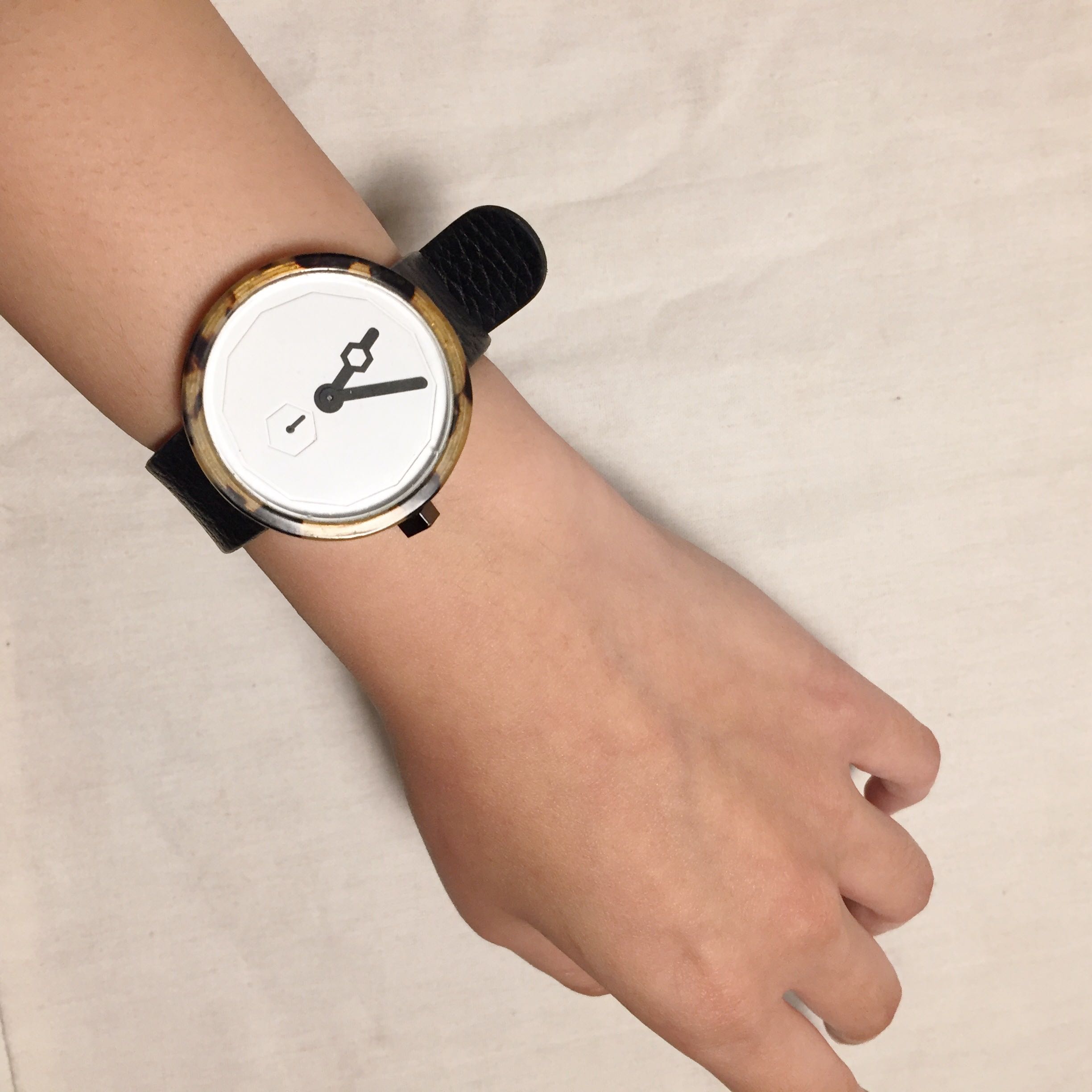 Aark Collective Classic Tortoise