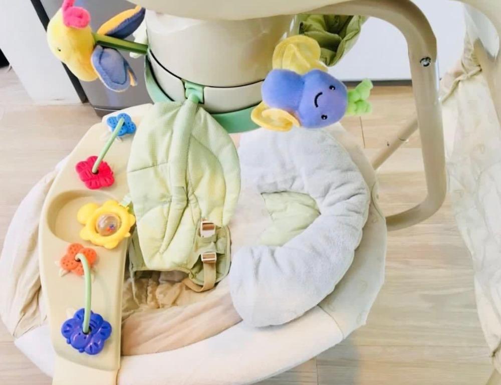 Fisher Price Papasan Nature s Touch Cradle Swing Rocker FREE