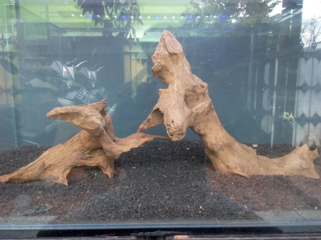 Kayu Aquascape Akar Kayu Jati Perlengkapan Hewan Aksesoris Hewan Di Carousell