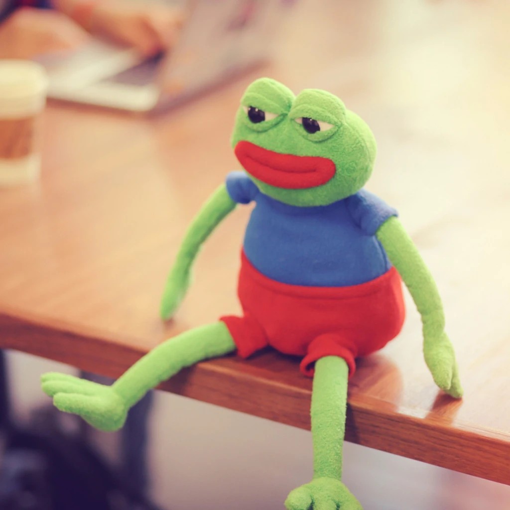 Rare Pepe Plush Doll Hobbies Toys Toys Games on Carousell