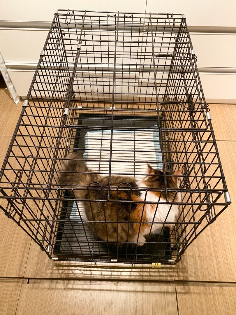 貓籠狗籠 2.5尺 九成新 Pet Cage