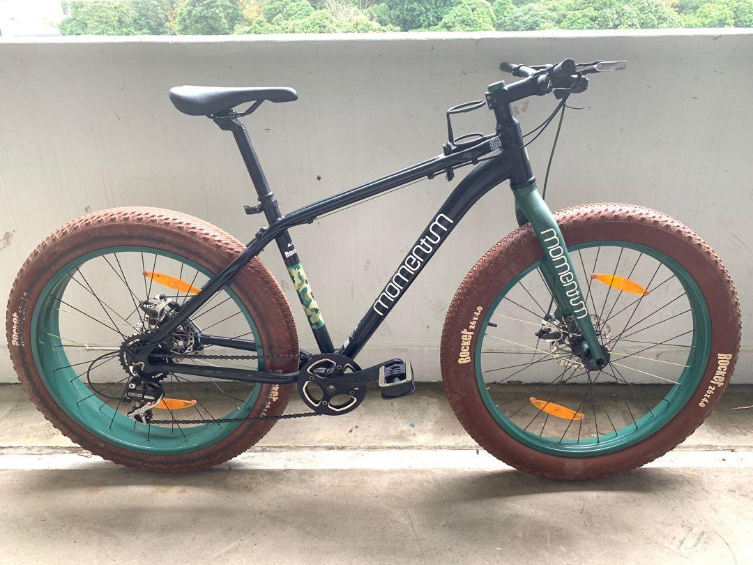monkey fatboy bike