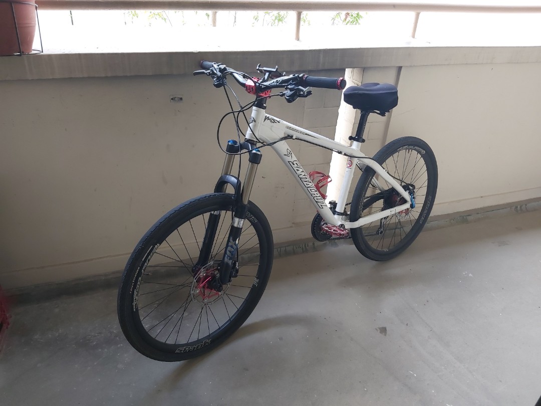 Santa cruz cheap chameleon 26
