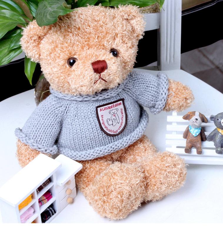Teddy voice recorder clearance