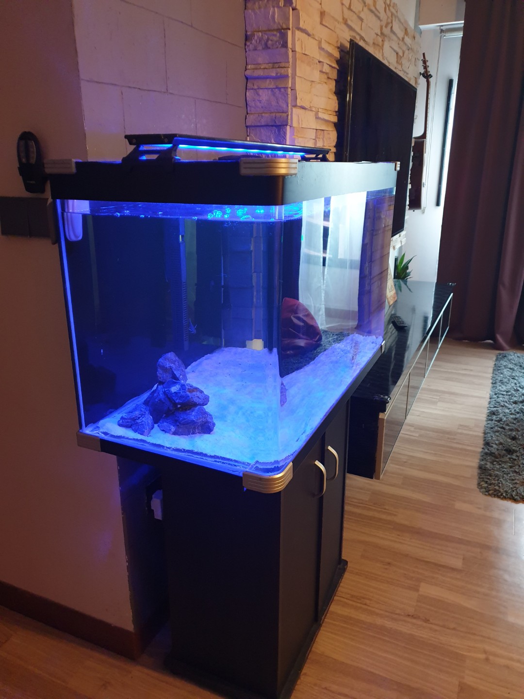 3ft Fish Tank with cabinet and canister filter