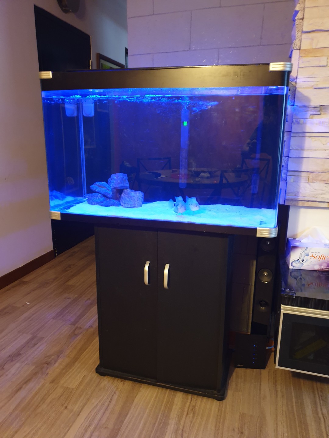 3ft Fish Tank with cabinet and canister filter