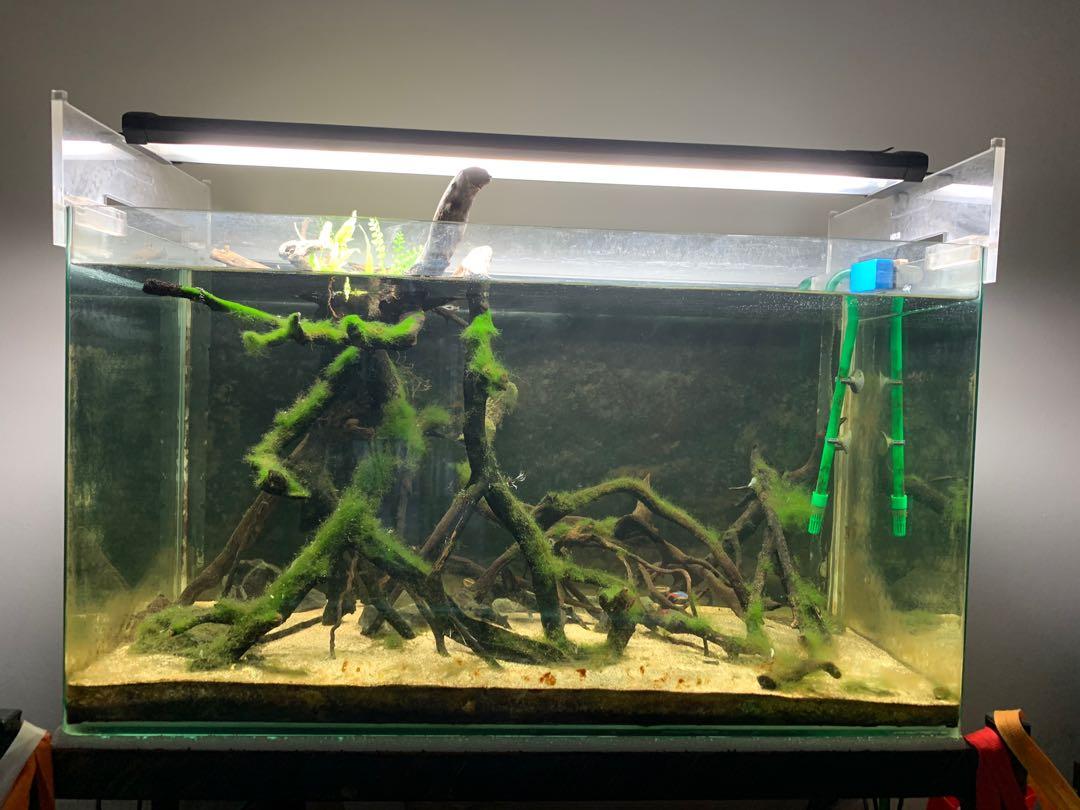 Eheim store fish tanks