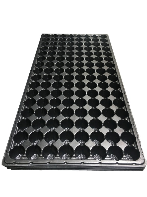 (Box of 10) Seedling Trays 50 72 104 128 holes for Garden Farm Greenhouse Planting
